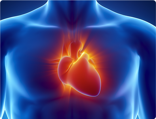 Cardiology & Cardiothoracic Surgery Hospital In Hyderabad