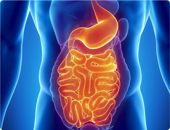 Medical & Surgical Gastroenterology Treatment In Hyderabad