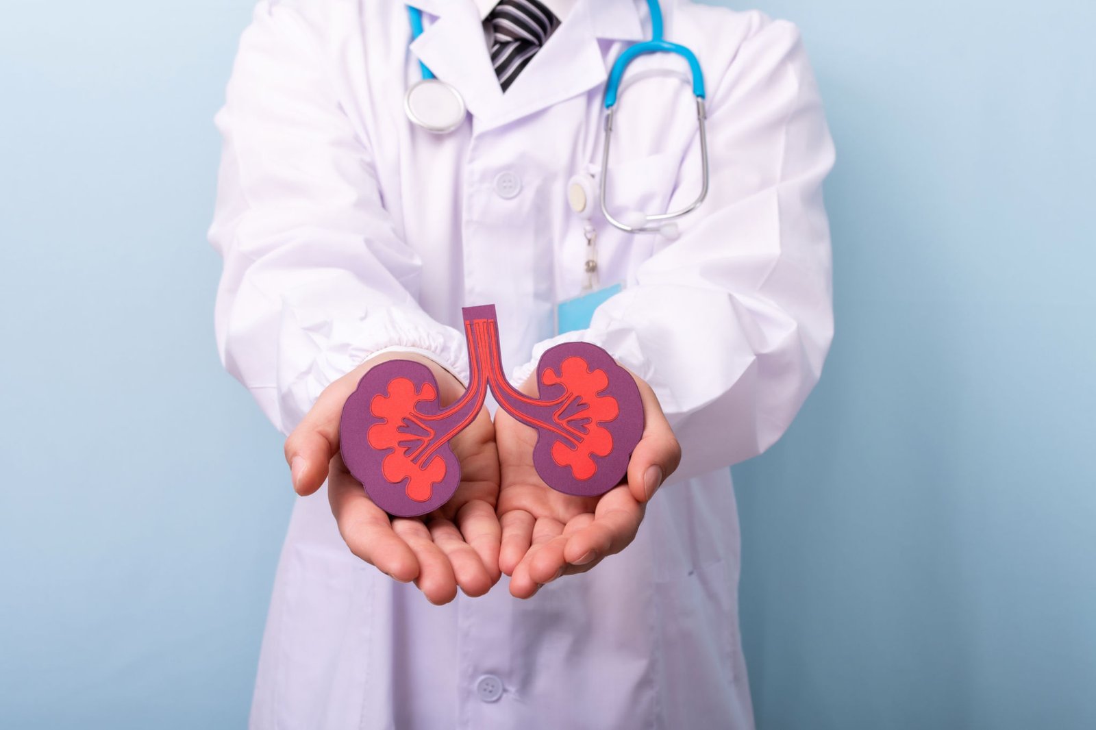 Kidney Failure Or Renal Insufficiency? Here’s Everything You Need To Know
